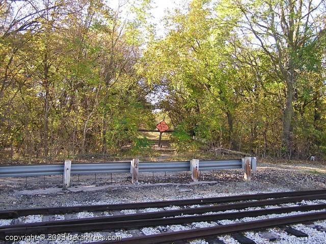 pa190795.jpg